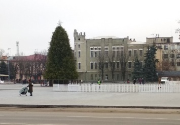 Павлоградскую елку по пушистости и высоте можно оценить в 100 тыс. гривен, для счастья и миллиона не жалко