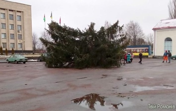 В Житомирской области упала новогодняя елка