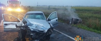 Водитель, который выжил в страшном ДТП на трассе в Запорожской области, предстанет перед судом