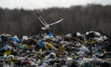 «Союз» допустил на одесской свалке ущерб экологии на 13,6 миллионов