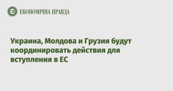 Украина, Молдова и Грузия будут координировать действия для вступления в ЕС