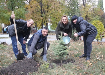 Волонтеры ДТЭК Энерго высадили 800 деревьев в рамках экологической толоки «Зеленый город»