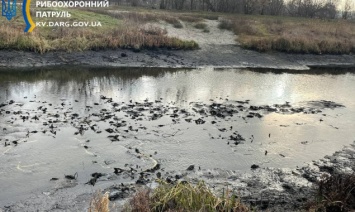 В реке Трубеж на Киевщине зафиксировали резкий спад уровня воды (фото)