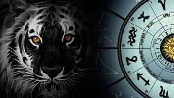 В чем нужно встречать год Черного Водяного Тигра, чтобы привлечь удачу