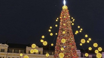 В Киеве официально открыли главную елку Украины и праздничный городок (фото)