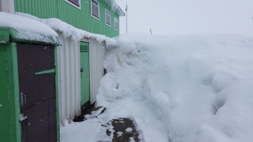 Станцию Вернадского в Антарктиде замело - такого снега тут не было 20 лет (ФОТО)