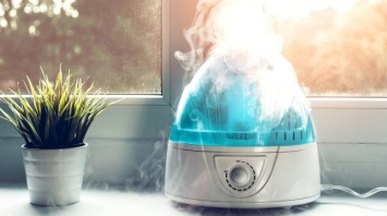 Чем опасен сухой воздух в квартире и как с этим бороться