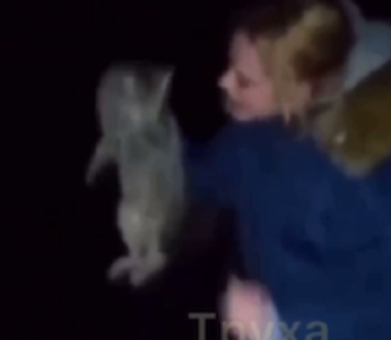 В Харьковской области девушка издевалась над котом и играла животным в футбол