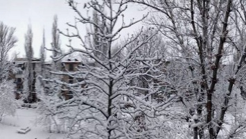 Снегопады и оттепель: какая погода ожидает Кривой Рог в предновогоднюю неделю и на Новый год