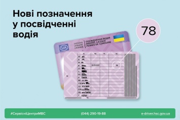 Автомат или механика: с 29 декабря на водительских удостоверениях украинцев будут ставить новую отметку