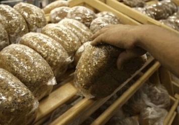 Кабмин запретил сильно поднимать цены на хлеб в Украине до конца пандемии
