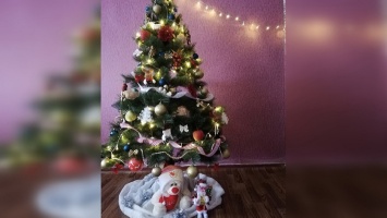 Какие елки поставили дома жители Кривого Рога: фото из Instagram