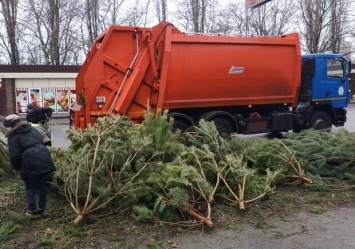 Чтоб не досталось никому: в Одессе торговцы полили брошенные елки солярой
