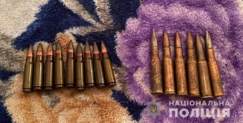 Дома у "взрывника" из Запорожской области обнаружили арсенал боеприпасов