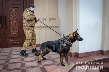 В Запорожской области на Рождество будут дежурить 1600 правоохранителей