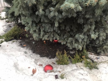 В одном из районов Запорожья вандалы разодрали гирлянду на новогодней елке - фото