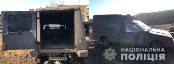 В Запорожской области "черные" лесорубы напали на полицейских