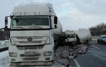 На трассе Киев-Одесса бус влетел в грузовик