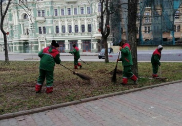 Озеленители ежедневно благоустраивают территории парков и скверов Одессы. Фото