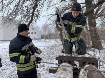 В Кривом Роге спасли кота из трубы