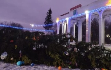 В Украине ветер повалил множество новогодних елок
