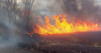 Масштабный пожар вспыхнул в заповеднике в Одесской области (ФОТО)