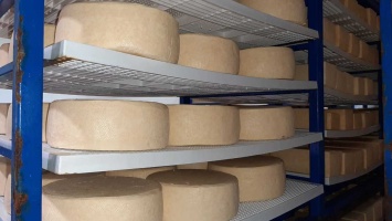 В Крыму увеличилось производство сыра
