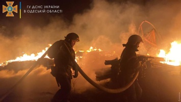 В селе под Одессой сгорели два брошенных недостроя незаконного ЖК