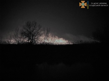 В национальном природном парке в Одесской области произошел масштабный пожар