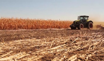 Цены на сельскохозяйственную продукцию растут в Украине, несмотря на объем и качество урожаев
