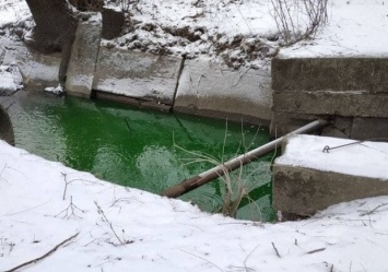 Вода в реке Сырец стала ядовито-зеленого цвета: в чем причина