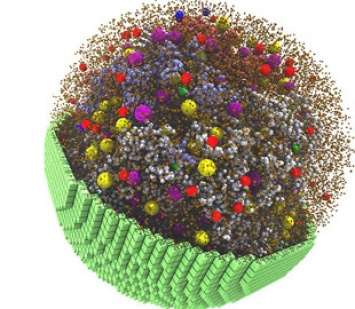 Видеокарты NVIDIA позволили моделировать поведение живой клетки из миллиардов атомов
