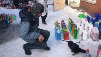 В Кривом Роге на рынке "Терминал" покупателей привлекает ручная ворона