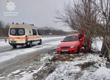 На запорожской трассе легковой автомобиль врезался в дерево