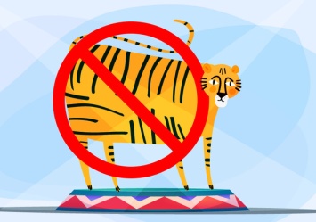 В Верховной Раде проголосовали за законопроект о запрете цирков с животными
