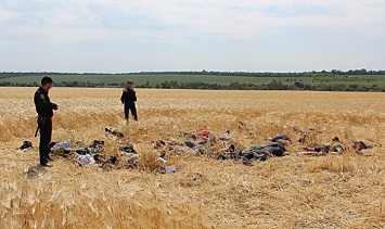 Половину земель военных полигонов Николаевщины сдали в аренду фермерам по сниженным ценам