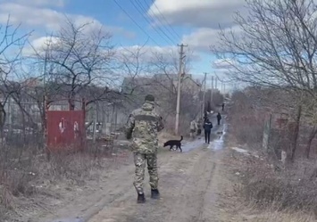 Напоила водкой и зарубила топором: под Одессой женщина отомстила сожителю за обиды