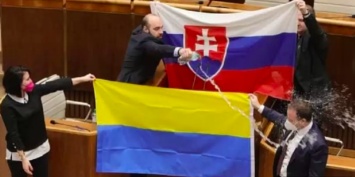 В парламенте Словакии депутат облил водой флаг Украины (видео)