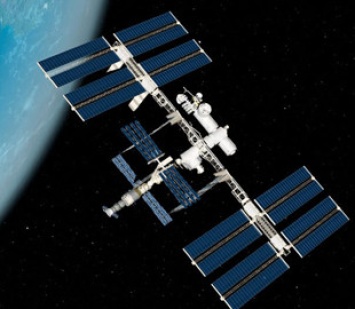 Израиль и NASA запустили совместный проект по исследованию выращивания нута в космосе