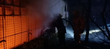 В городе Запорожской области горела знаменитая дача Филибера