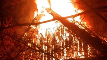 В Кривом Роге пожар уничтожл крышу дома на улице Оболоновской