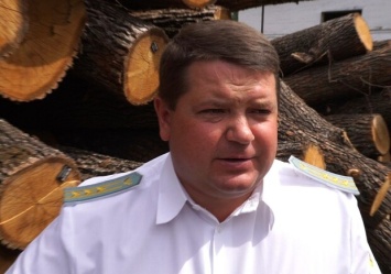 В тюрьму на 5,5 лет: бывшему директору Гутянского лесхоза Виктору Сысе вынесли приговор