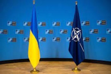 Украине не нужен НАТО