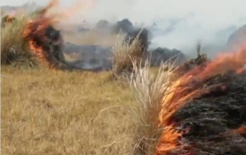 В Аргентине пылают масштабные пожары