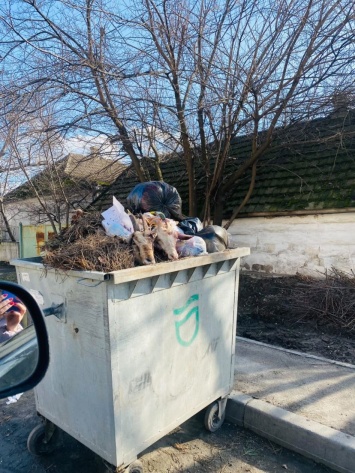 Жертвоприношение или шутка: в Днепре на Коммунаре в мусорном баке нашли две козьих головы