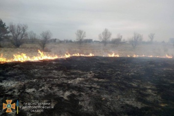 Тушила траву: под Днепром едва не сгорела женщина