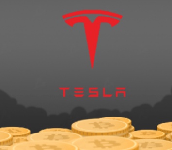 Кимбал Маск: Tesla ничего не знала о влиянии биткоина на экологию